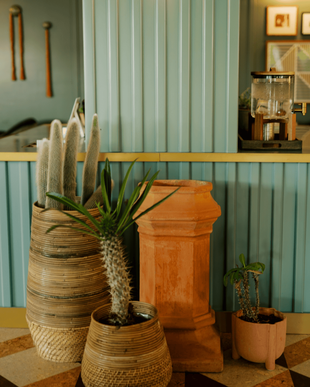Woven baskets of cacti and succulents beside a terracotta planter against a teal corrugated wall near the hotel bar, full-color interior photograph