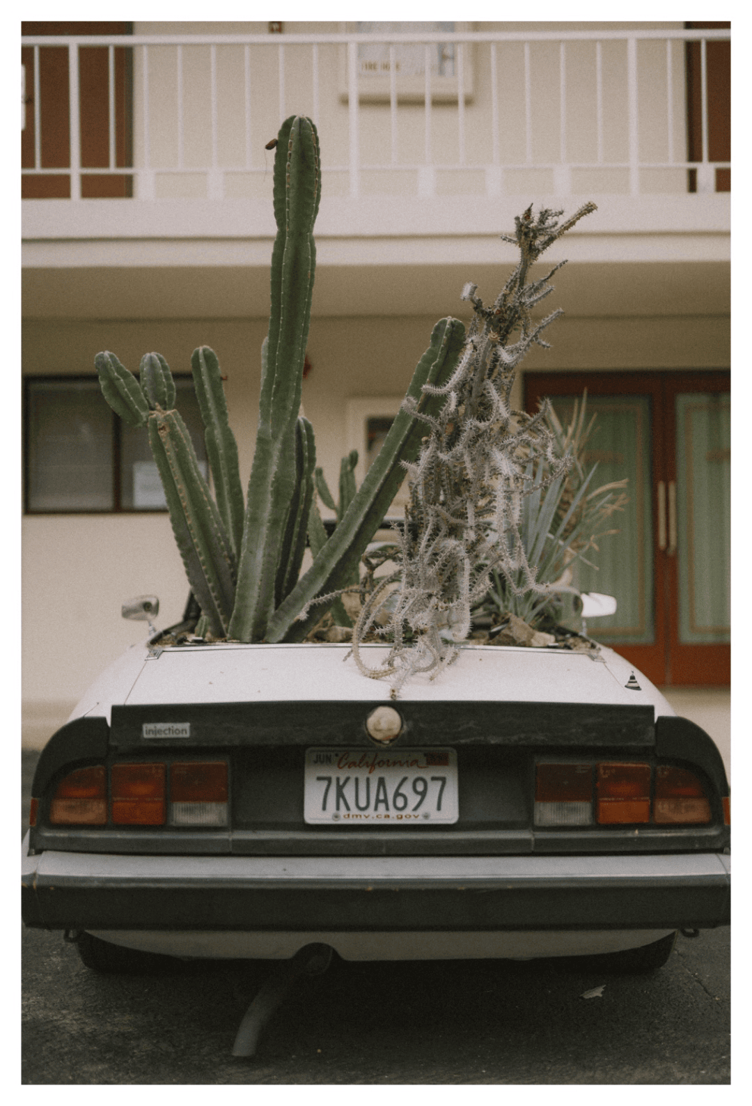 Rear view of a vintage white convertible with cacti and succulents planted in the trunk, parked outside a motel-style building, full-color architectural photograph