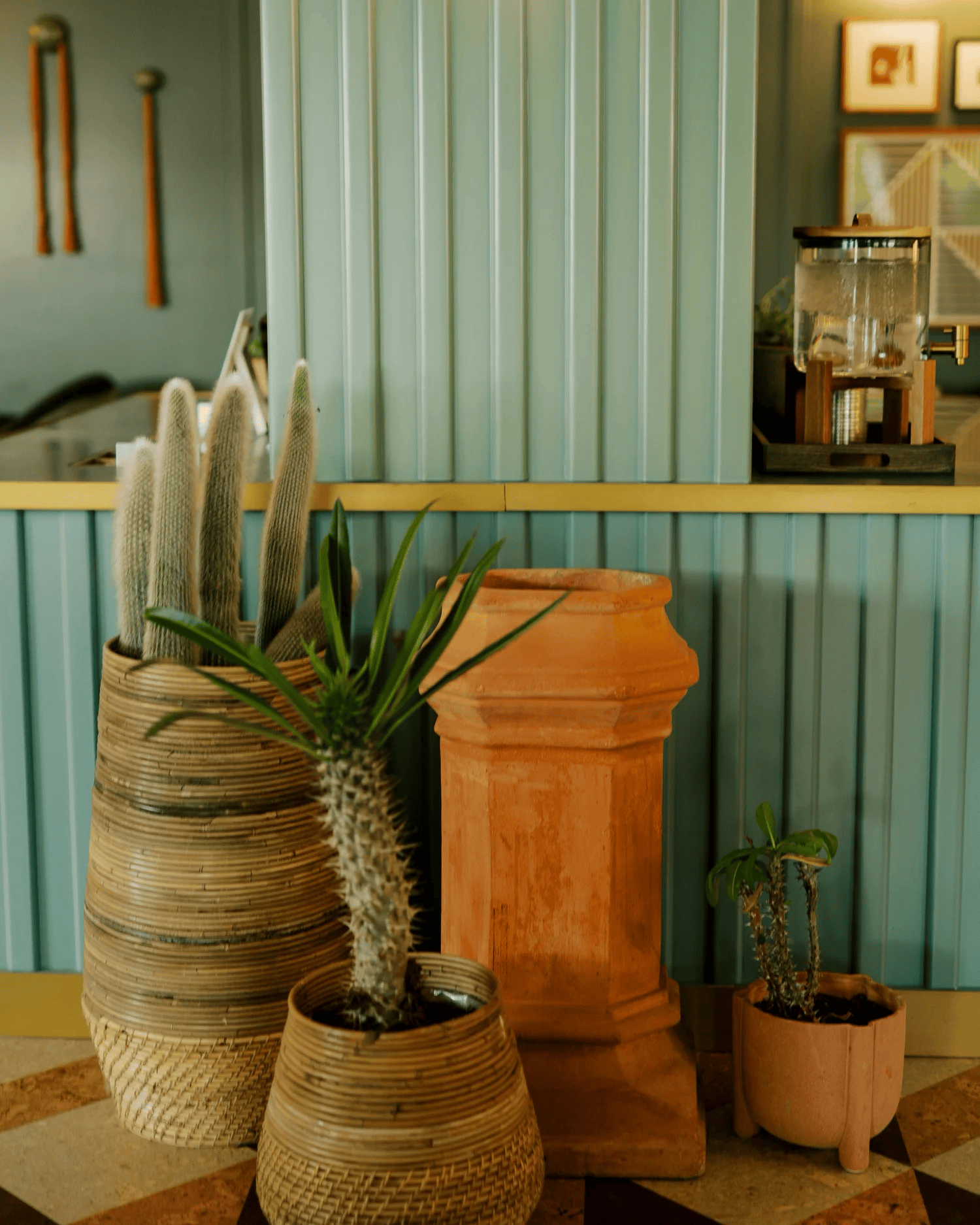 Full-color interior photograph of a cactus and terracotta plant display against a teal paneled wall