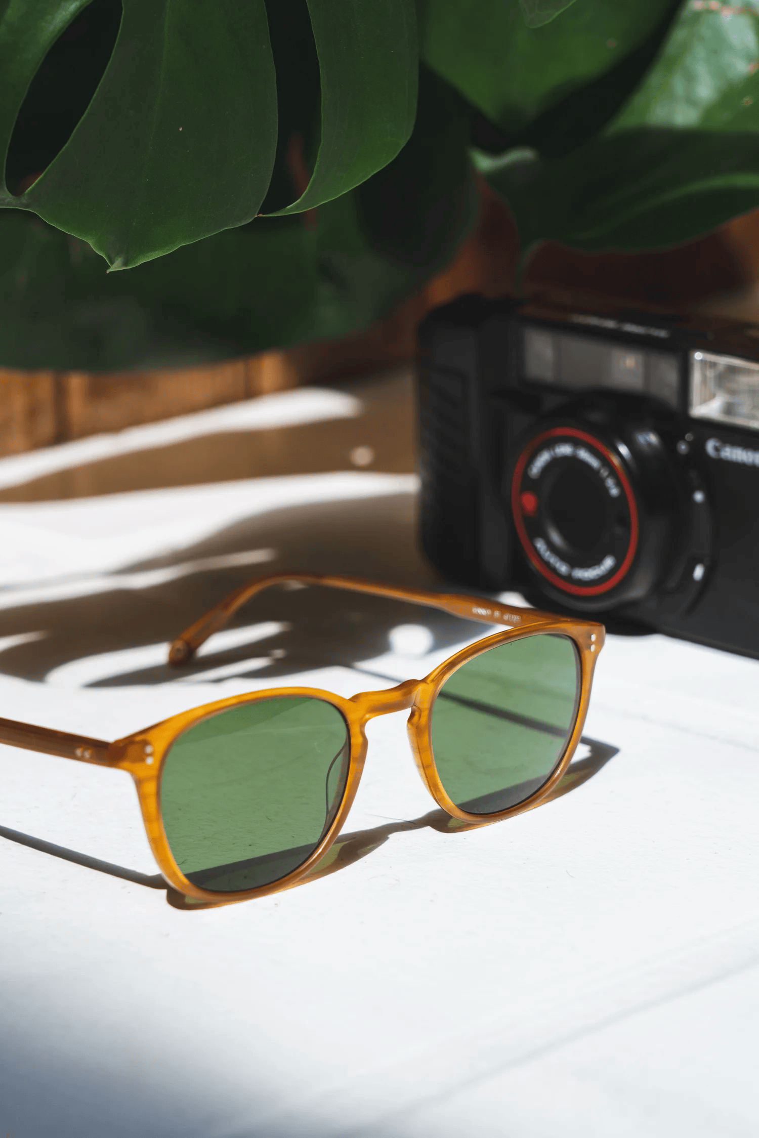 Full-color still life photograph of amber sunglasses beside a vintage film camera under a monstera leaf
