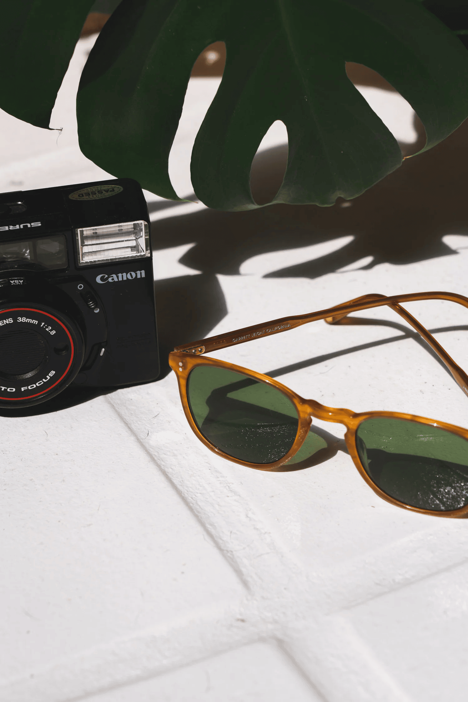 Full-color still life photograph of a vintage film camera and amber sunglasses on white tile with monstera shadow
