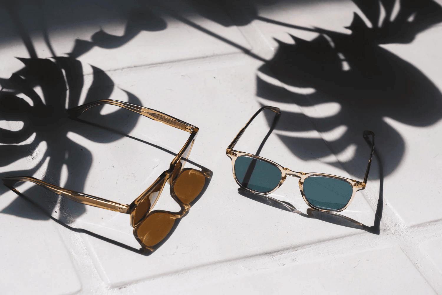 Full-color still life photograph of two pairs of sunglasses casting monstera-leaf shadows on white tile