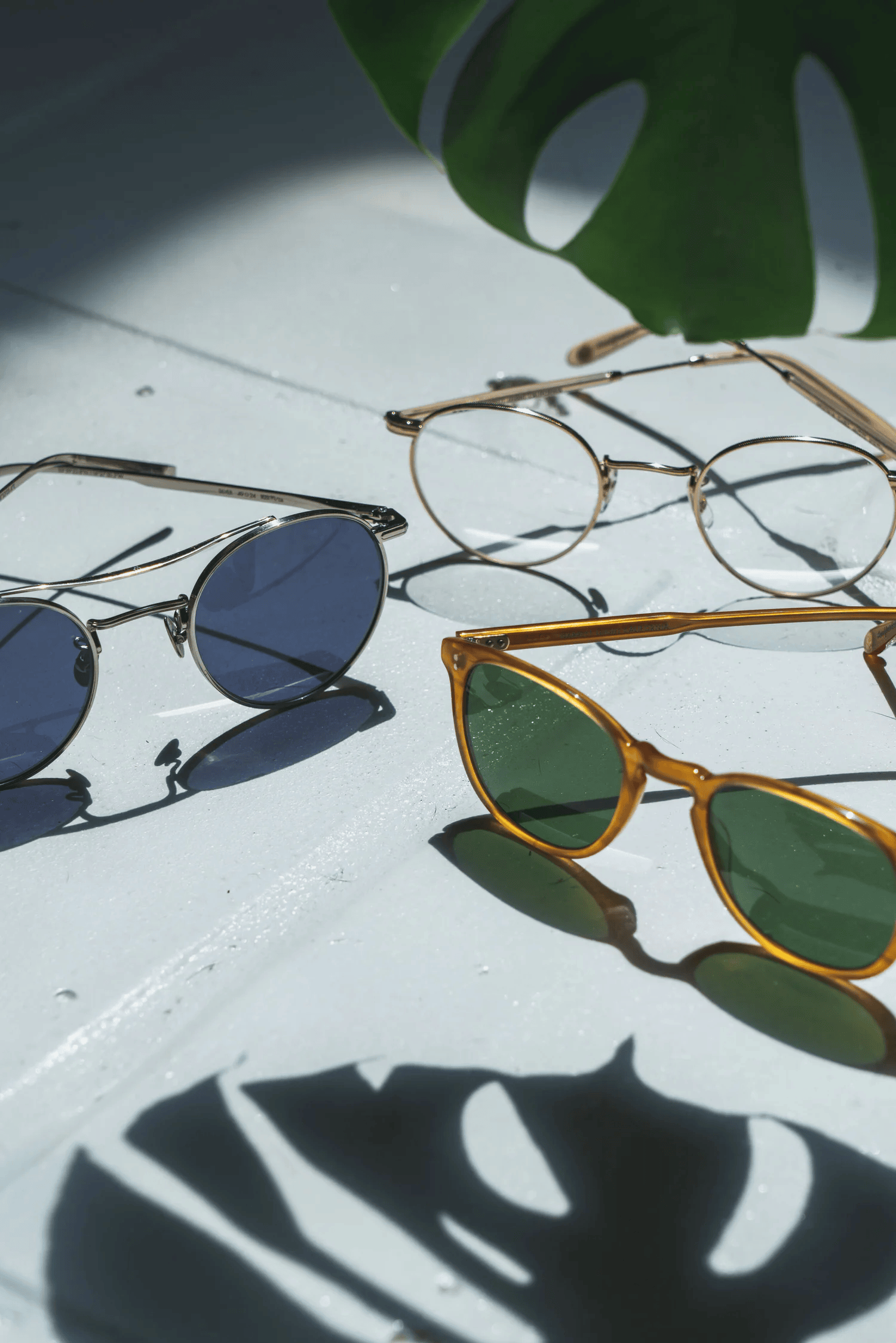 Full-color still life photograph of amber sunglasses and a film camera under a monstera leaf on white tile